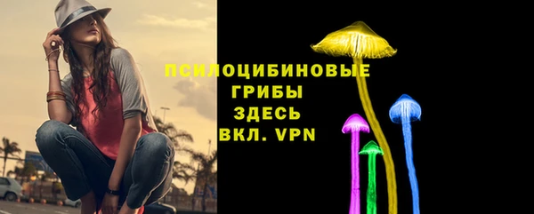 2c-b Абинск
