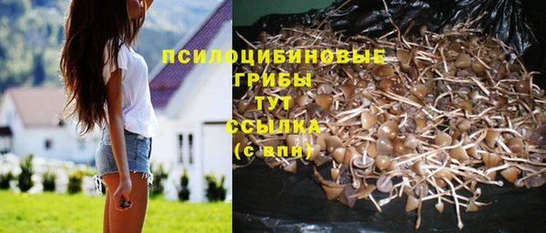 соль курить ск Алексин