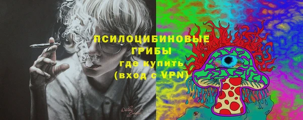 дурь Алзамай