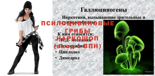 прущие грибы Алексеевка