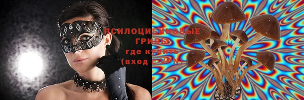 дурь Алзамай