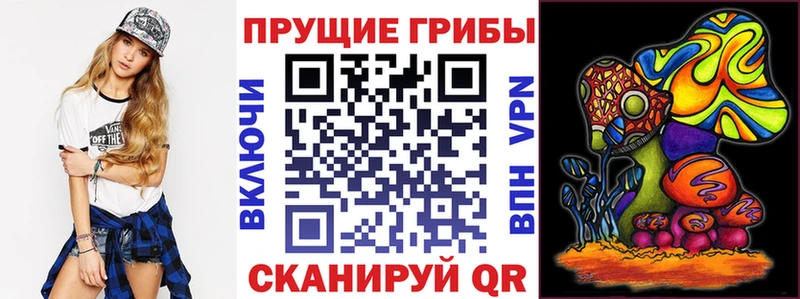 магазин продажи наркотиков  Мамадыш  Псилоцибиновые грибы Psilocybine cubensis 